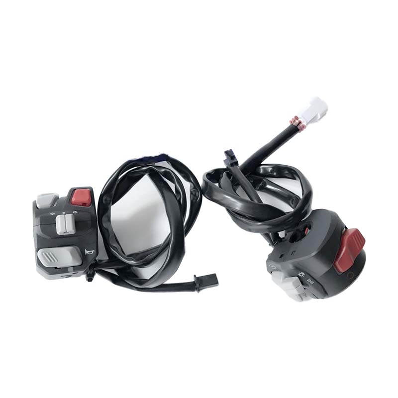 Leoncino500 New Backlight Switch