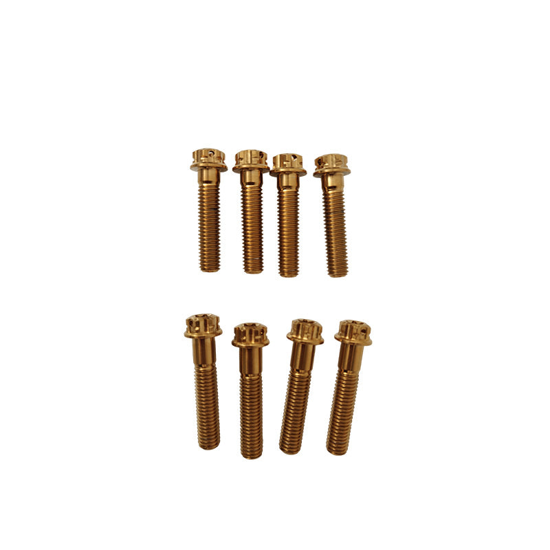 450RALLY Titanium alloy screws (C)