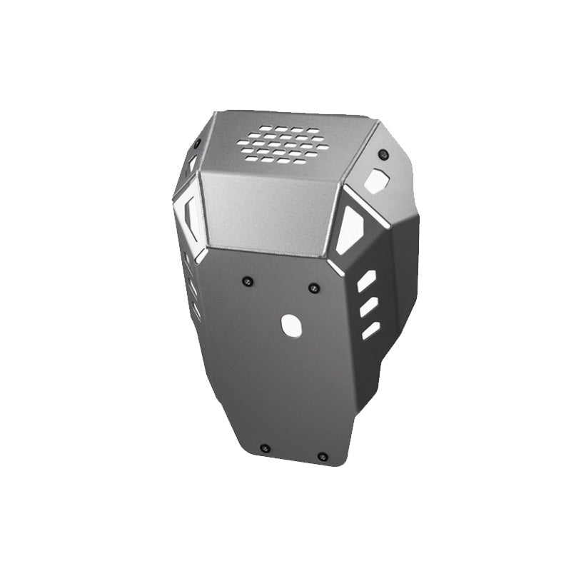 DSX900 Engine protection (C)