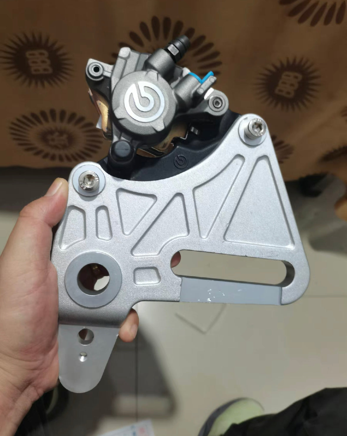 Leoncino500 Brembo rear brake