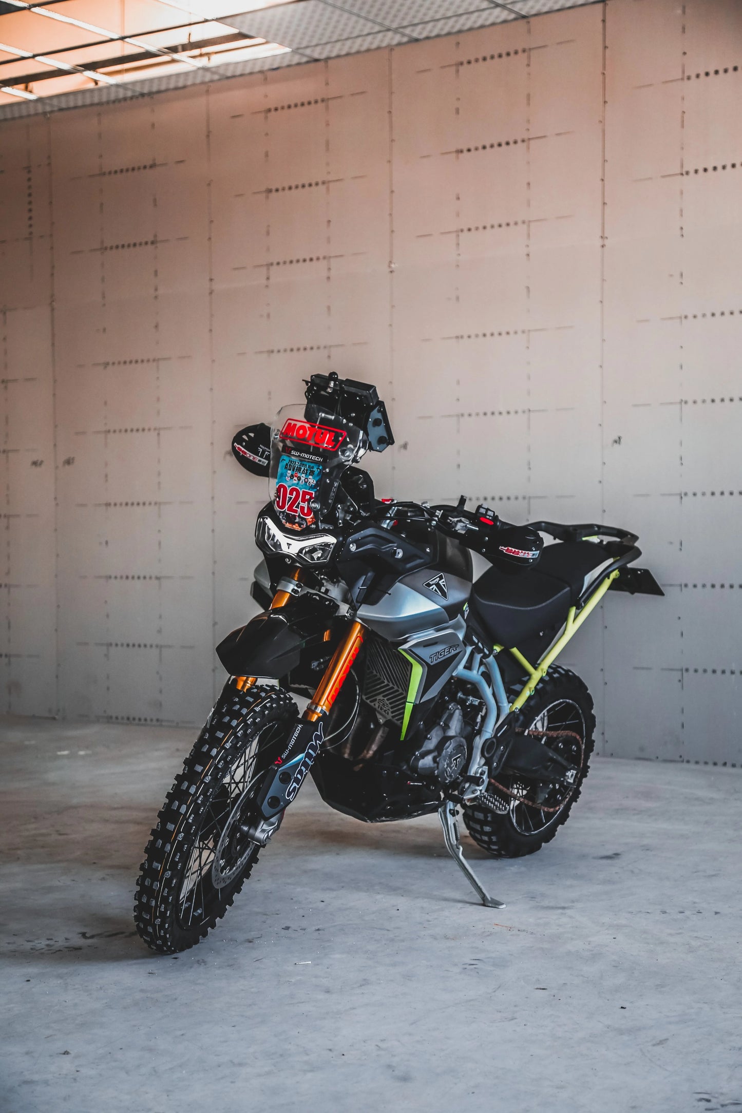 Tiger850/900 RALLY KIT