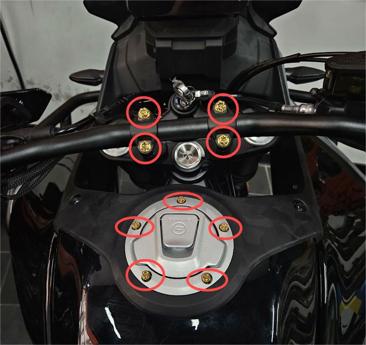 450MT Titanium alloy screws (9 pieces)