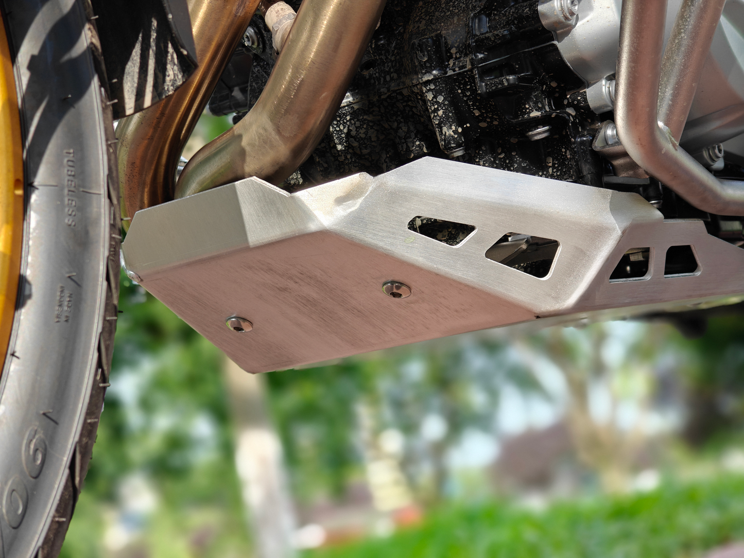 DSX900 Engine protection (B)