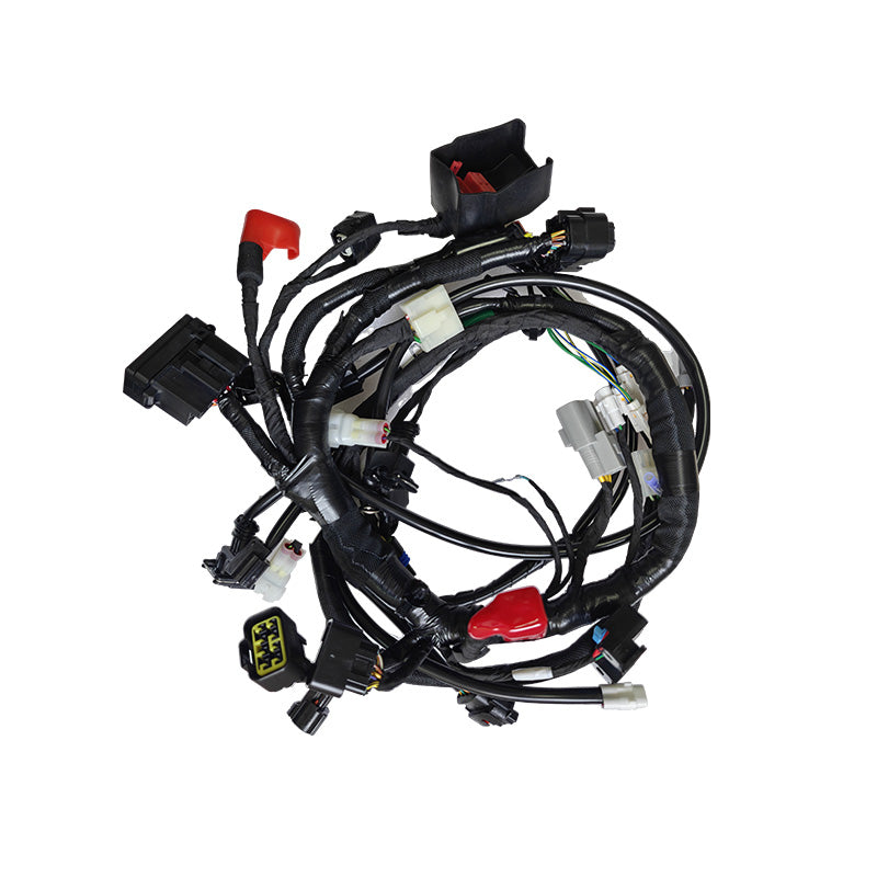 450RALLY Wiring harness（Pro）